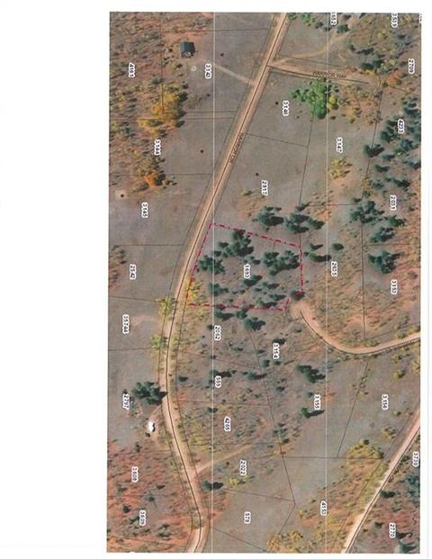 2740 Warrior Cir, Como, CO 80432 photo 10