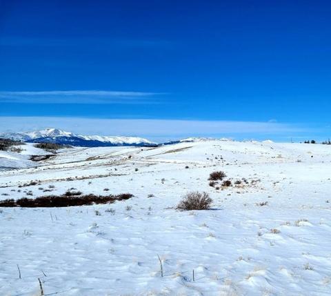 247 Travois Rd, Como, CO 80432 photo 4