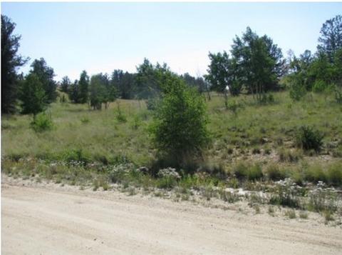 623 Breton Cir, Como, CO 80432 photo 2