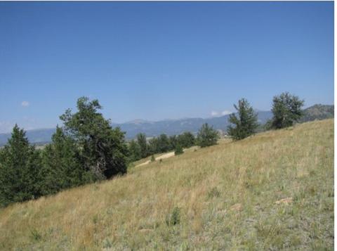 623 Breton Cir, Como, CO 80432 photo 4