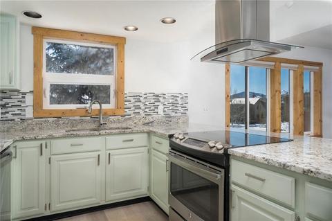 315 N Chipmunk Cir, Silverthorne, CO 80498 photo 21