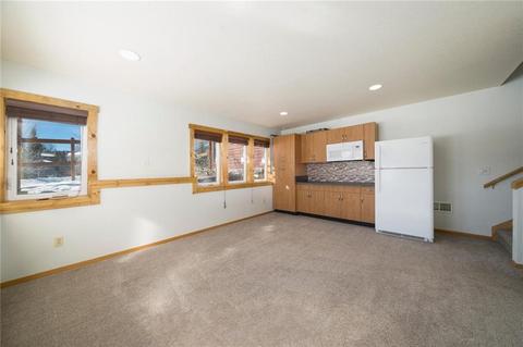 315 N Chipmunk Cir, Silverthorne, CO 80498 photo 31