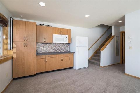 315 N Chipmunk Cir, Silverthorne, CO 80498 photo 32