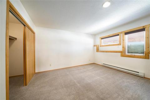 315 N Chipmunk Cir, Silverthorne, CO 80498 photo 34