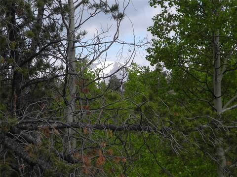 304 Old Squaw Rd, Como, CO 80432 photo 2