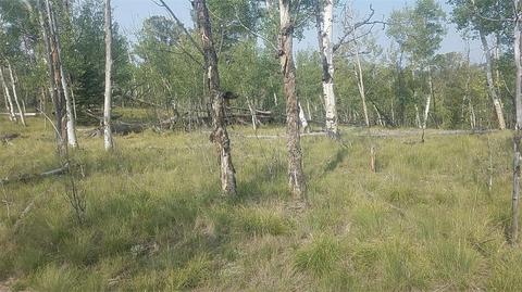 304 Old Squaw Rd, Como, CO 80432 photo 5