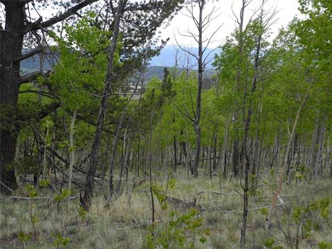 304 Old Squaw Rd, Como, CO 80432 photo 1