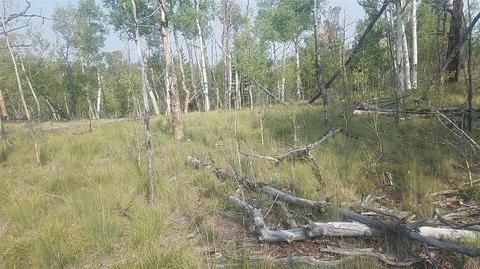 304 Old Squaw Rd, Como, CO 80432 photo 3