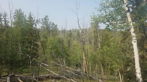 304 Old Squaw Rd, Como, CO 80432 photo 8