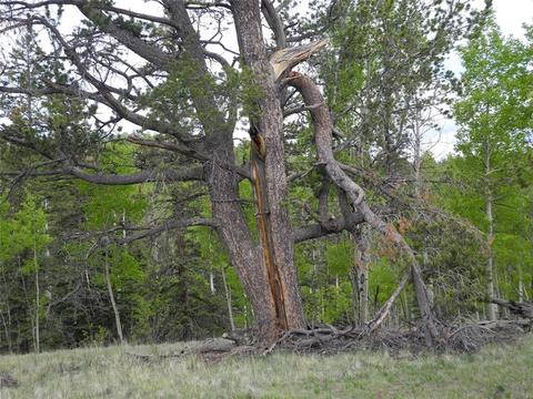 304 Old Squaw Rd, Como, CO 80432 photo 4
