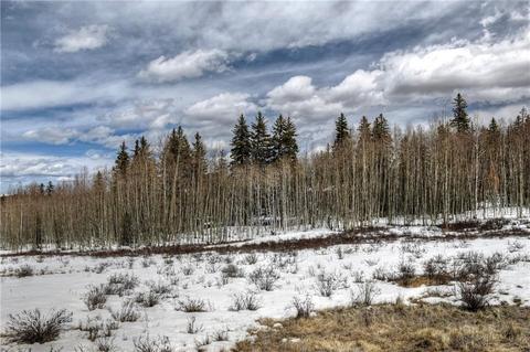 702 Pinto Trl, Como, CO 80432 photo 3