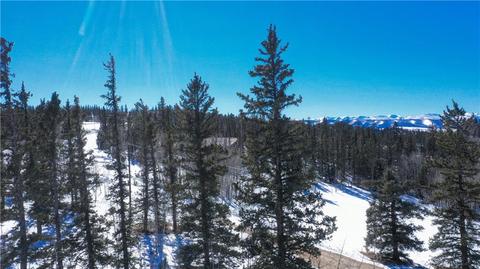 1240 Warpath Rd, Como, CO 80432 photo 5