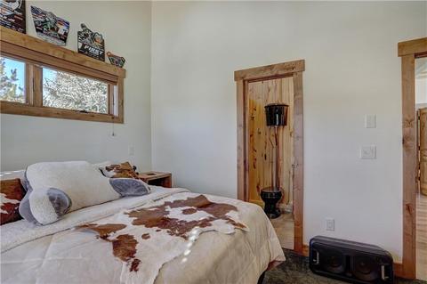 149 Gold Run Cir, Dillon, CO 80435 photo 21