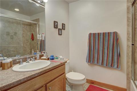 149 Gold Run Cir, Dillon, CO 80435 photo 32