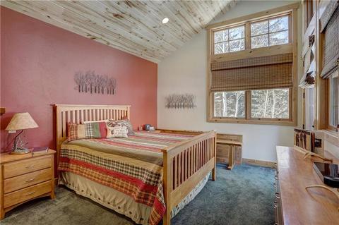 149 Gold Run Cir, Dillon, CO 80435 photo 11