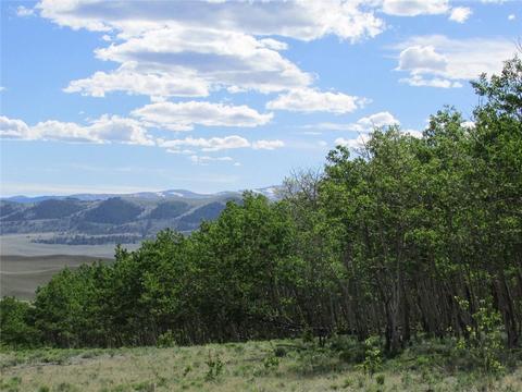 1240 Night Hawk Cir, Como, CO 80432 photo 6