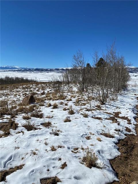 1240 Night Hawk Cir, Como, CO 80432 photo 13