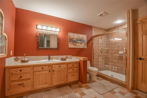 729 Wild Rose Rd, Silverthorne, CO 80498 photo 29