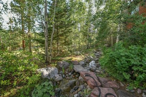 729 Wild Rose Rd, Silverthorne, CO 80498 photo 32
