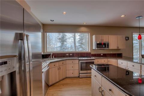 729 Wild Rose Rd, Silverthorne, CO 80498 photo 8