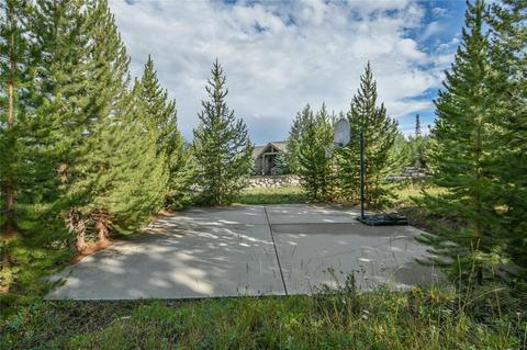 729 Wild Rose Rd, Silverthorne, CO 80498 photo 34