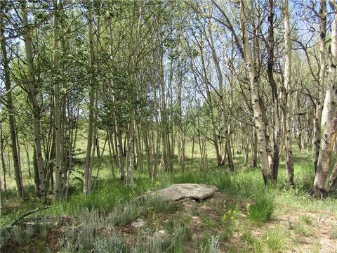 108 Wolf Ct, Como, CO 80432 photo 34