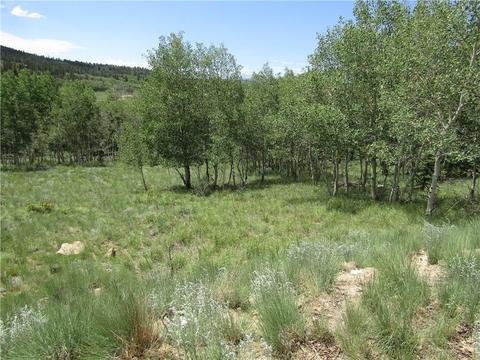 108 Wolf Ct, Como, CO 80432 photo 14