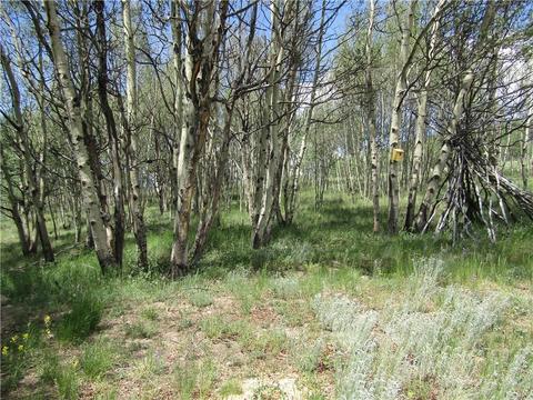 108 Wolf Ct, Como, CO 80432 photo 35