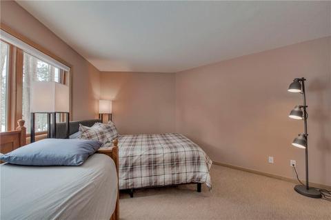 345 Black Hawk Cir, Silverthorne, CO 80498 photo 24