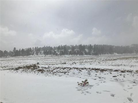 4375 Larimer Rd, Hartsel, CO 80449 photo 3