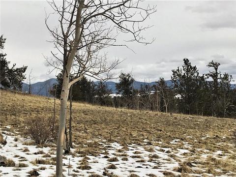 430 Swallow Rock Trl, Como, CO 80432 photo 5