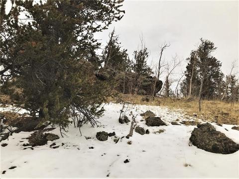 430 Swallow Rock Trl, Como, CO 80432 photo 14