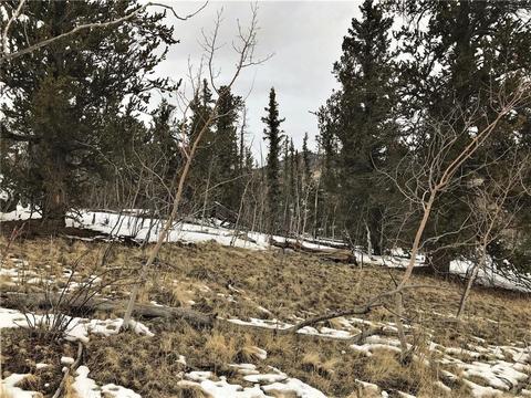 430 Swallow Rock Trl, Como, CO 80432 photo 18