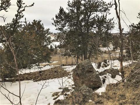 430 Swallow Rock Trl, Como, CO 80432 photo 17