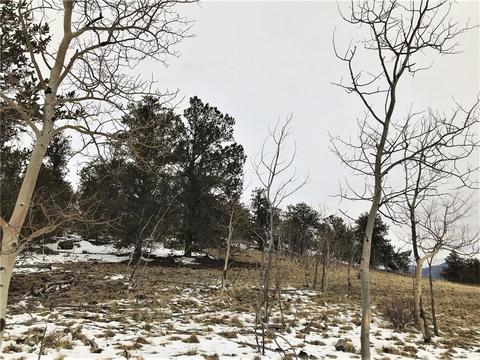 430 Swallow Rock Trl, Como, CO 80432 photo 7