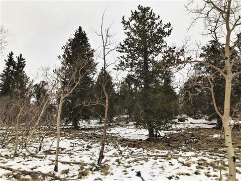 430 Swallow Rock Trl, Como, CO 80432 photo 6