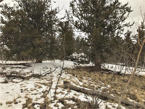 430 Swallow Rock Trl, Como, CO 80432 photo 19