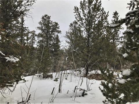 430 Swallow Rock Trl, Como, CO 80432 photo 29