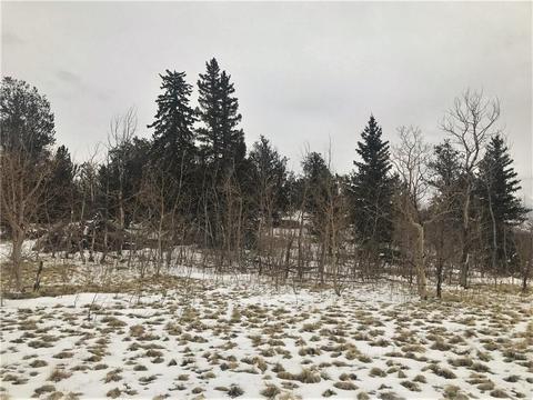 430 Swallow Rock Trl, Como, CO 80432 photo 2