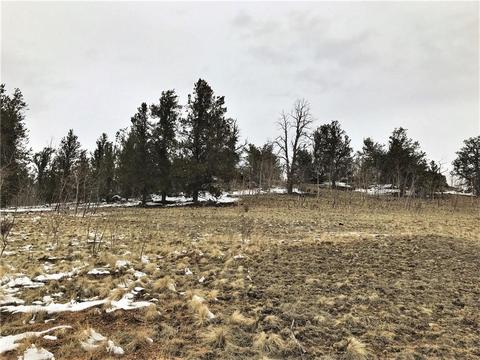 430 Swallow Rock Trl, Como, CO 80432 photo 10