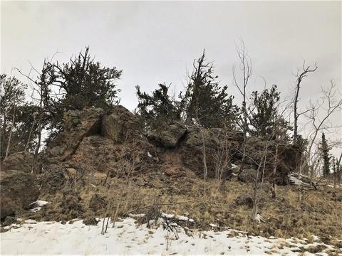 430 Swallow Rock Trl, Como, CO 80432 photo 15