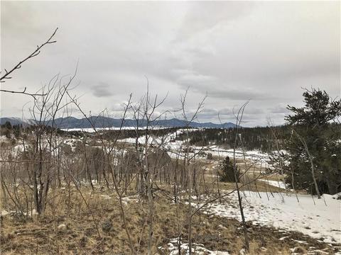 430 Swallow Rock Trl, Como, CO 80432 photo 16