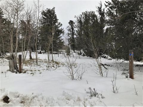 430 Swallow Rock Trl, Como, CO 80432 photo 23