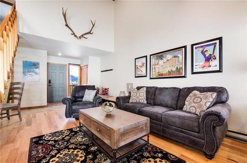141 N Side Cir, Silverthorne, CO 80498 photo 9
