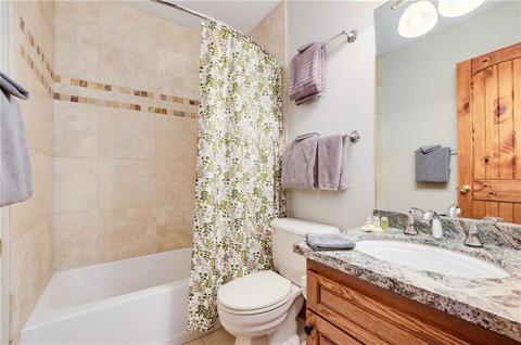 141 N Side Cir, Silverthorne, CO 80498 photo 25