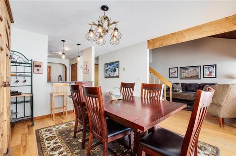 141 N Side Cir, Silverthorne, CO 80498 photo 16
