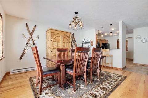 141 N Side Cir, Silverthorne, CO 80498 photo 15