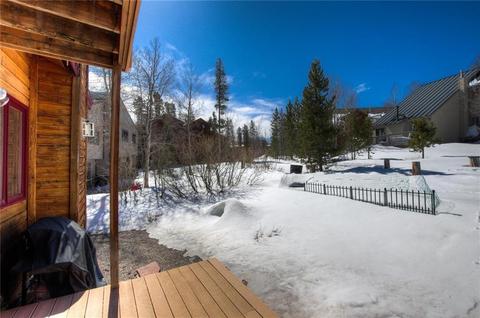 141 N Side Cir, Silverthorne, CO 80498 photo 34