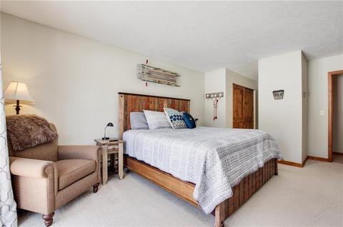 141 N Side Cir, Silverthorne, CO 80498 photo 19