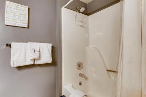 716 E Anemone Trl #E, Dillon, CO 80435 photo 15